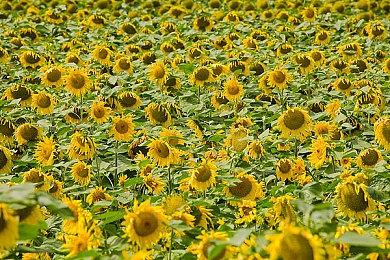 Fami通打出35分 《勇者斗恶龙3：HD-2D重制版》进入白金殿堂